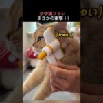 Thumbnail of related posts 159