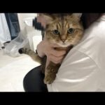 Thumbnail of related posts 056