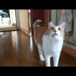Thumbnail of related posts 087
