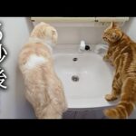 Thumbnail of related posts 056
