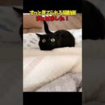 Thumbnail of related posts 112