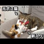 Thumbnail of related posts 071