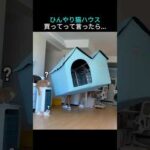 Thumbnail of related posts 044