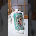 Thumbnail of related posts 059