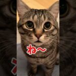 Thumbnail of related posts 142