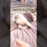 Thumbnail of related posts 145
