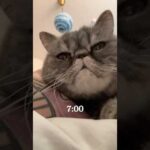 Thumbnail of related posts 146