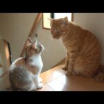 Thumbnail of related posts 079