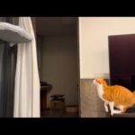 Thumbnail of related posts 031