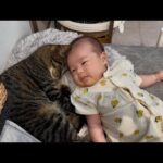 Thumbnail of related posts 048