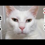 Thumbnail of related posts 177