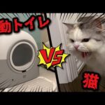 Thumbnail of related posts 047