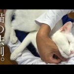 Thumbnail of related posts 095