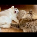 Thumbnail of related posts 056