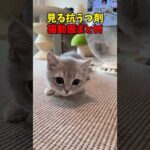 Thumbnail of related posts 023