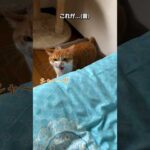 Thumbnail of related posts 130