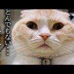 Thumbnail of related posts 134