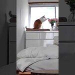 Thumbnail of related posts 001