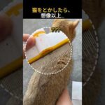Thumbnail of related posts 136