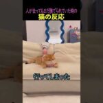 Thumbnail of related posts 100