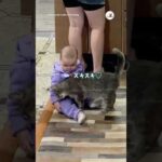 Thumbnail of related posts 067