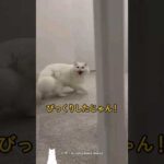 Thumbnail of related posts 142