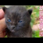 Thumbnail of related posts 086