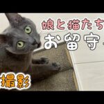 Thumbnail of related posts 178