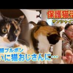 Thumbnail of related posts 016