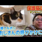 Thumbnail of related posts 128