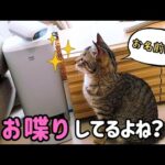 Thumbnail of related posts 162