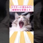 Thumbnail of related posts 069