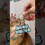 Thumbnail of related posts 025