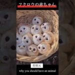 Thumbnail of related posts 036