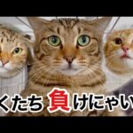 Thumbnail of related posts 019