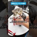 Thumbnail of related posts 070