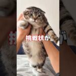 Thumbnail of related posts 141