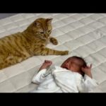 Thumbnail of related posts 095