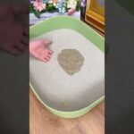 Thumbnail of related posts 051