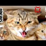 Thumbnail of related posts 041