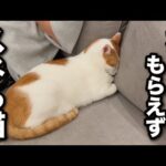 Thumbnail of related posts 200