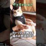 Thumbnail of related posts 025