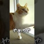 Thumbnail of related posts 000