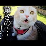 Thumbnail of related posts 029