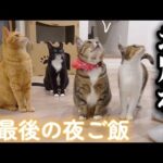 Thumbnail of related posts 074