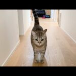 Thumbnail of related posts 143
