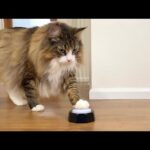 Thumbnail of related posts 068
