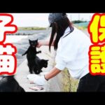 Thumbnail of related posts 116