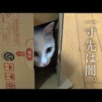 Thumbnail of related posts 027