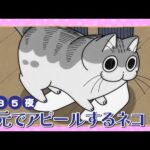 Thumbnail of related posts 148